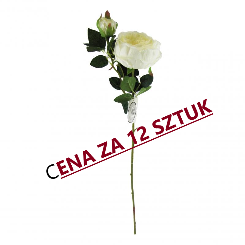 Róża 70cm biała <br>(12 sztuk)